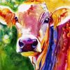 Colorful Abstract Cow paint by numbers