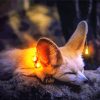 Cute Little Fox With Lights paint by numbers
