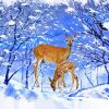 Doe And Her Fawn Winter Scene paint by numbers