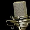 Gray Condenser Microphone paint by numbers