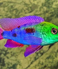 green head Cichlid paint by numbers