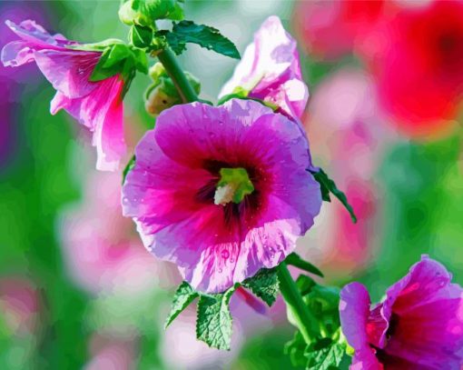 Hollyhock Mallow paint by numbers