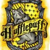 Hufflepuff Harry Potter paint by numbers