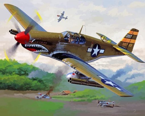 P52 Mustang Aircraft paint by numbers