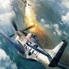 P52 Mustang Plane paint by numbers