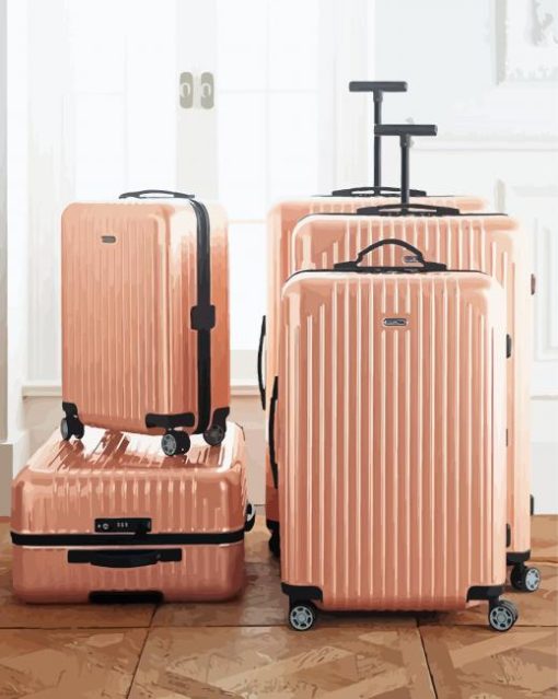 Pink Suitcases paint by numbers