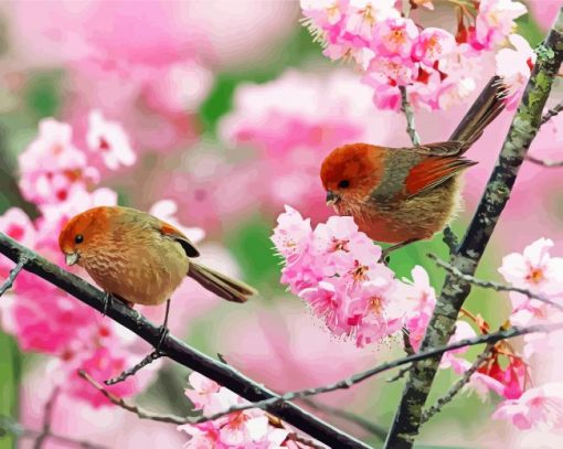Birds And Cherry Blossom Flowers paint by numbers