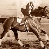 race horse Seabiscuit paint by numbers