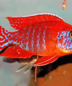 red Cichlid paint by numbers