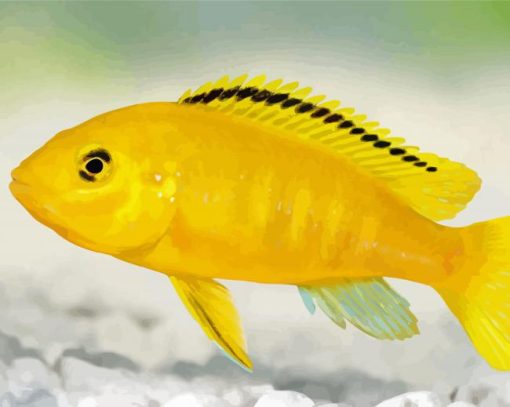 yellow Cichlid paint by number