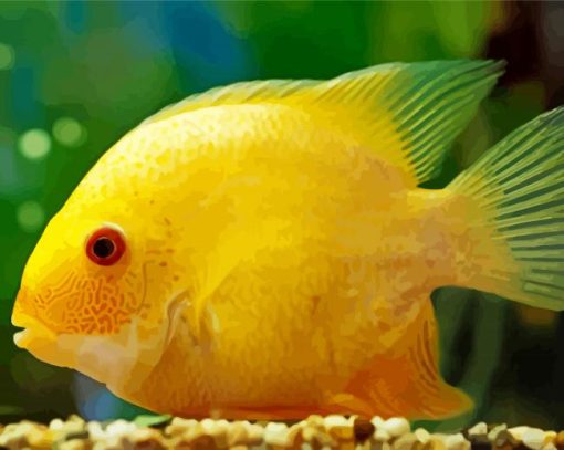 yellow Severum paint by numbers