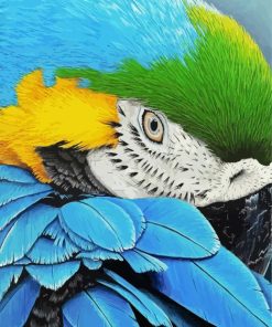 Blue Gold Macsaw Parrot Closeup paint by numbers