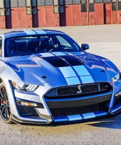 Ford Mustang Shelby paint by numbers