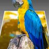 3D Parrot Animal paint by numbers