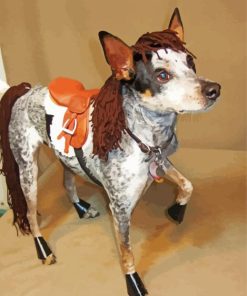 A Dog Halloween Costume paint by numbers