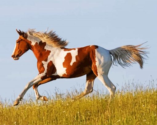 American Paint Horse Running paint by numbers