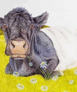 Belted galloway animal art paint by number