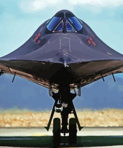 Blackbird SR71 aircraft paint by numbers