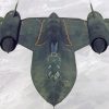 Blackbird SR71 paint by numbers