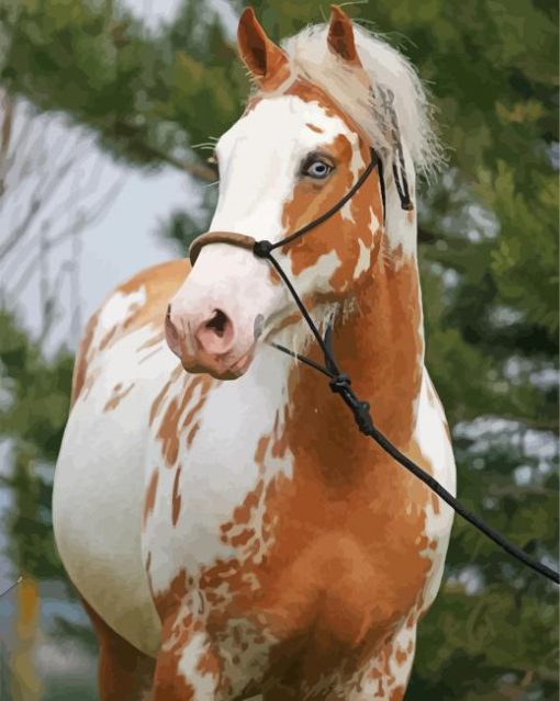 Blonde Paint Horse paint by numbers