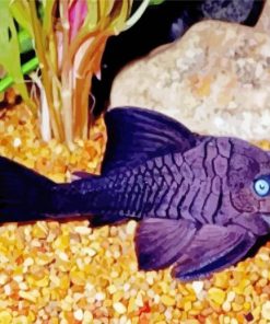 Blue Eyed Pleco Fish paint by numbers