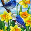 Blue Birds And Daffodils paint by numbers