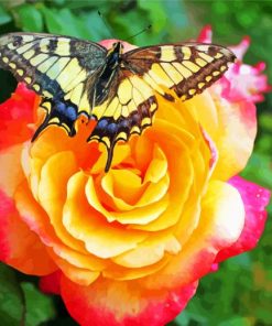 Butterfly On Rose paint by numbers
