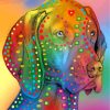 Colorful Pointer Dog Head paint by numbers