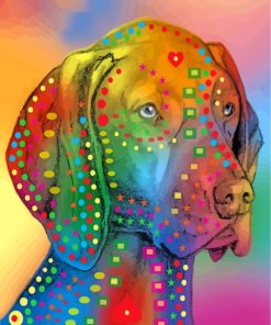 Colorful Pointer Dog Head paint by numbers