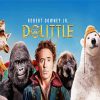 Dolittle Movie Poster Paint by numbers