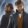 Fantastic beasts Movie Characters paint by numbers