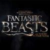 fantastic beasts paint by number