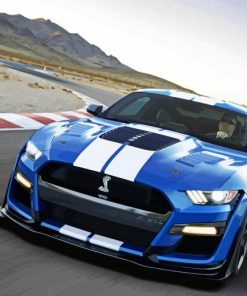 GT500 Shelby paint by numbers