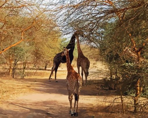 Giraffes At Bia Senegal paint by numbers