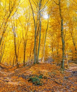 Yellow Forest paint by numbers