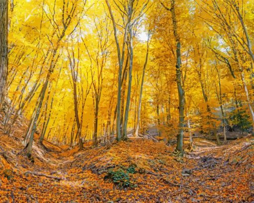 Yellow Forest paint by numbers