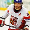 Jagr Czech Ice Hockey Player paint by numbers