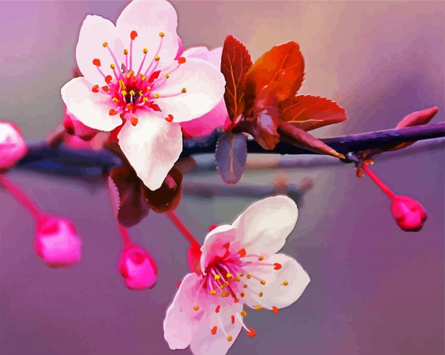 Japanese Cherry Blossom paint by numbers