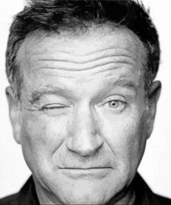 Robin Williams paint by numbers