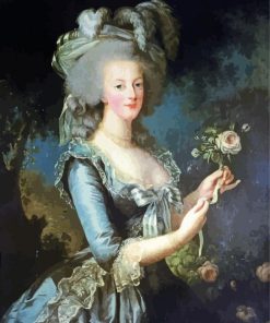 Marie Antoinette With A Rose Rococo Art Paint by numbers