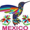 Mexican Bird paint by numbers