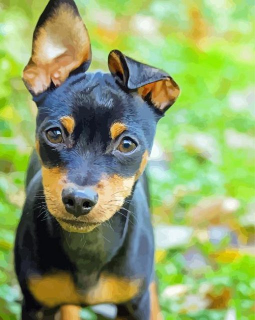 Miniature Pinscher paint by numbers