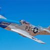 Mustang P51 aircraft paint by numbers