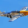 Mustang P51 paint by numbers