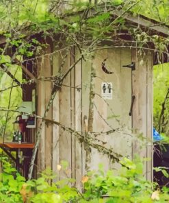 Outhouse In Forest Paint by numbers