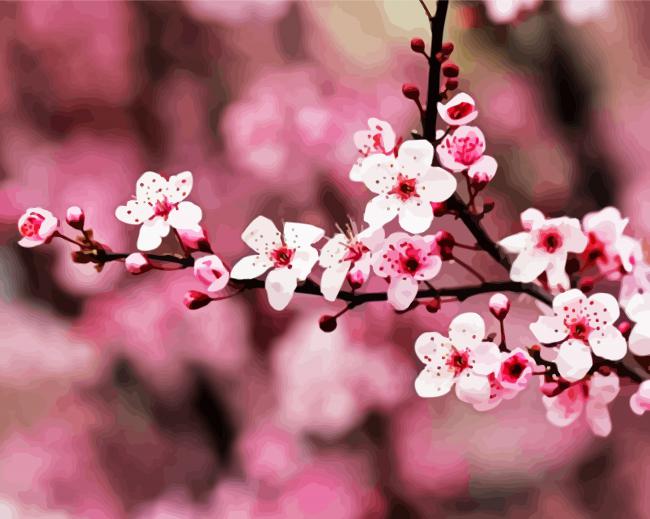 Pink Cherry Blossom paint by numbers