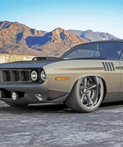 Plymouth Barracuda Car paint by numbers