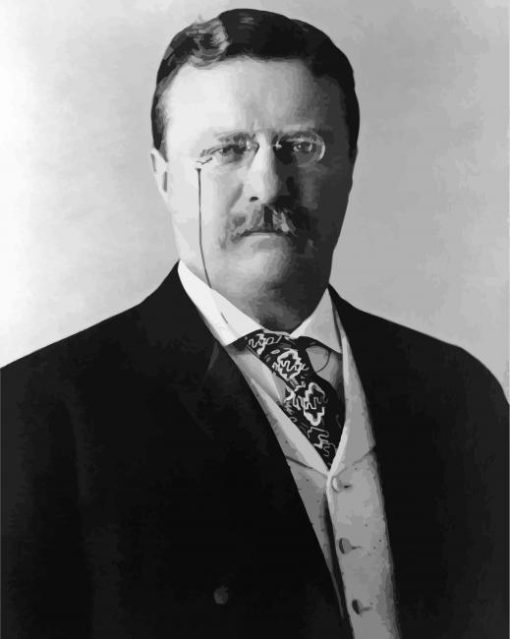 President Theodore Roosevelt paint by numbers