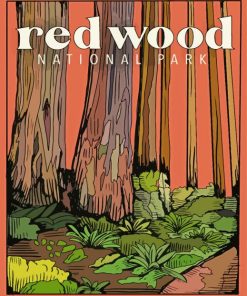 Redwoods National Park poster paint by numbers