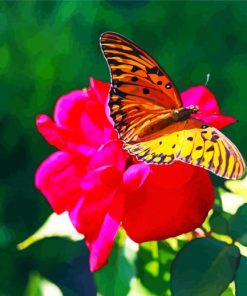 Rose And Butterfly Art paint by numbers